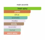 Destiny- Inspired by Dior Sauvage - Image 2