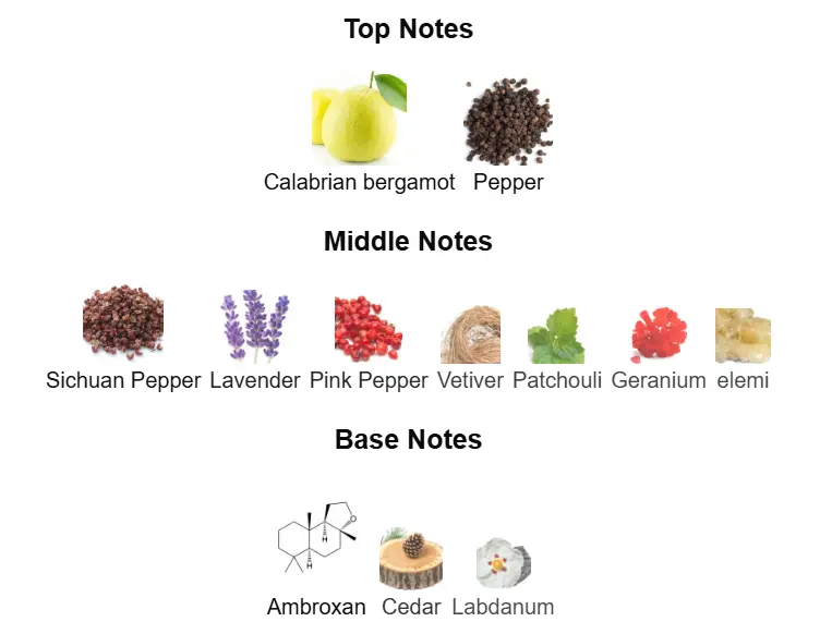 Destiny- Inspired by Dior Sauvage - Image 3